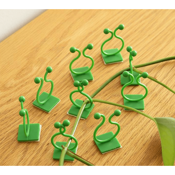 100 Piezas Clips de Pared para Plantas Trepadoras, Clips de Tutor de Soporte para Plantas Trepadoras, Soporte de Fijación de Pared para Plantas Trepadoras de Interior para Verduras de Vid Tomates Ver