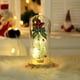 thumbnail image 5 of Navidad Cubierta De Vidrio Adornos Decoraciones Navideñas Regalo De Navidad Para Novia Y Amante seitruly HA043607-02, 5 of 6