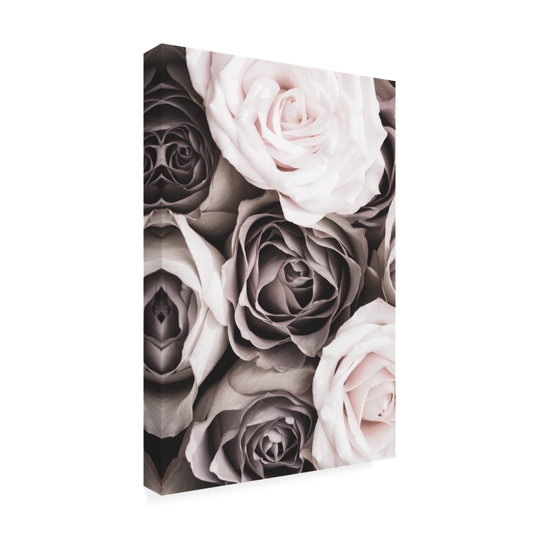 Trademark Fine Art Pictufy Studio Roses Canvas Wall Art