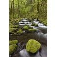 thumbnail image 2 of Paulson, Don 23x32 Gold Ornate Wood Framed with Double Matting Museum Art Print Titled - Oregon, Columbia River Gorge Gorton Creek, 2 of 4