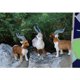 thumbnail image 1 of Adorno de Simución de Oveja Animal Artificial con Plumas Decoración para hogar de Animales Falsos CUTICAT Animales artificiales, 1 of 8