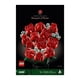 thumbnail image 2 of Set LEGO Icons Ramo de Rosas 10328, 2 of 4