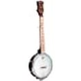 thumbnail image 3 of Gold Tone Plucky Banjo (Cinq Cordes, Brun Vintage), 3 of 4