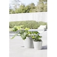 thumbnail image 4 of Ecopots Amsterdam Durable Modern Round Indoor/Outdoor Recycled Based Composite Flower Pot Planter w/ Water Reservoir, Pure White, 12", 4 of 4