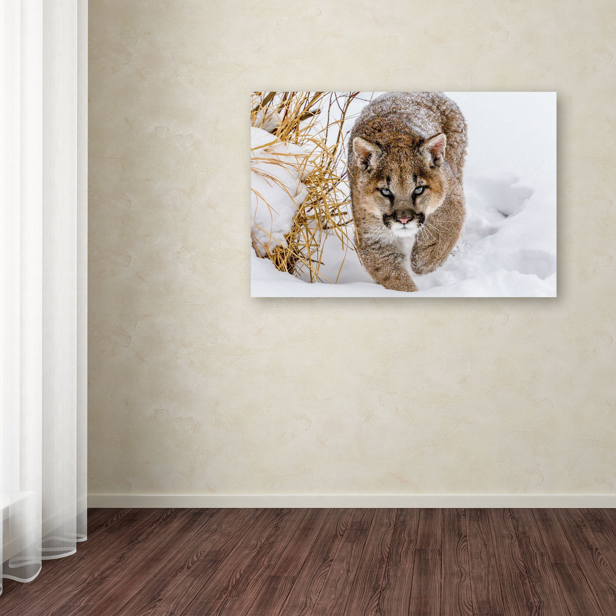 Trademark Fine Art 'Sneaky Cougar' Canvas Art by Mike Centioli