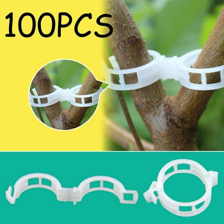 100Pcs Vegetable Garden Tomato Trellis Clips Plant Support Clip for Vine Vegetables Tomato to Grow Upright and Makes Plants Healthier, (Best Way To Support Tomato Plants In Garden)
