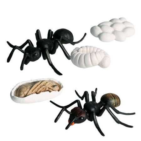 

NUOLUX 5PCS Simulation Ant Model Set Artificial Animal Figurine Kids Plastic Ant Toys for Home Kindergarten (Black)