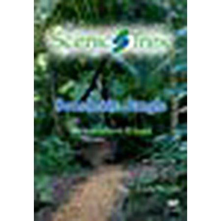 Scenic Trex Beachside Jungle DVD - Virtual Walking, Cycling, Treadmill