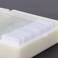 thumbnail image 3 of Hyuduo 20pcs Microbiological Bacterial Specimens Biology Microscope Slices  Specimen, 3 of 8
