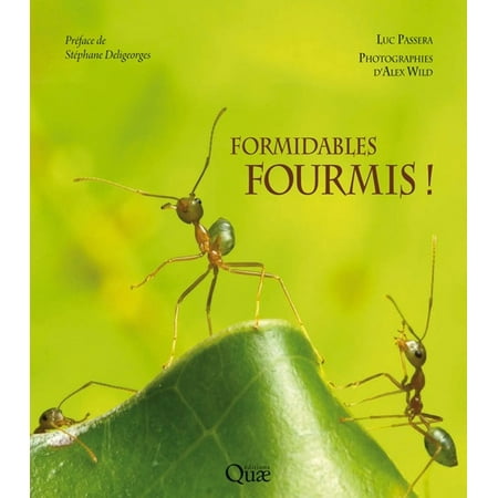 Formidables Fourmis Ebook - 