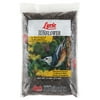 Lyric Black Oil Sunflower Seeds - 5 lb. Bag