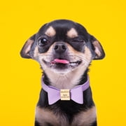 Pet Artist XS-XL Cute Bowtie Personalized Dog Collar PU Leather Custom Pet Puppy Name Number Engraved