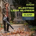 thumbnail image 5 of Sun Joe 6-Amp 155 mph Corded Handheld Leaf Blower, Light-Duty Lawn Tool, Gray, 5 of 6