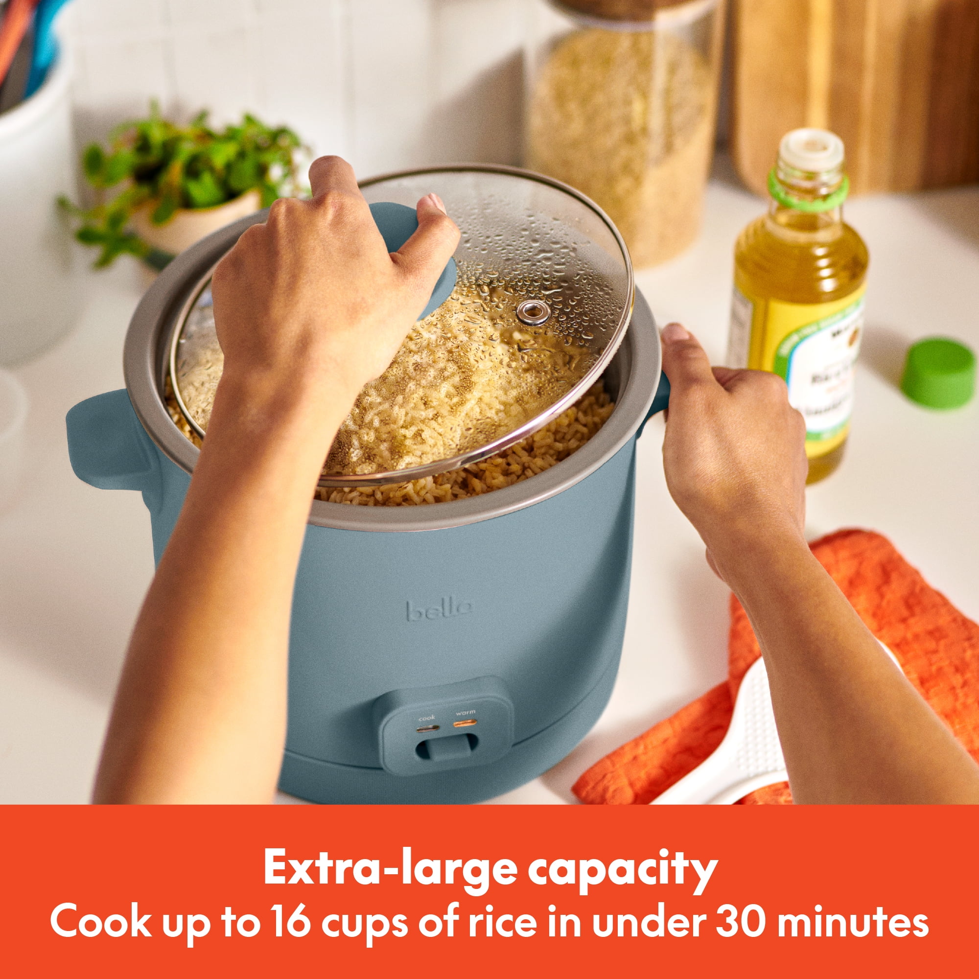 bella 16-Cup Electric Rice Cooker, Surf