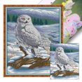 thumbnail image 1 of Hilo Algodón Bordado Punto Cruz Con Escultura Nieve Impresa 14CT 41x54cm, 1 of 9