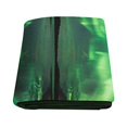 thumbnail image 2 of CADecor Beach Lake Northern Lights Panorama Alaska Throw Blanket Bed Sofa Blanket 58x80 inches, 2 of 3