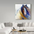 thumbnail image 3 of Marcia Baldwin 'Gypsy Vanner Rouge' Canvas Art, 3 of 4