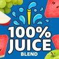 thumbnail image 4 of Capri Sun 100% Juice Watermelon Juice Box Pouches, 10 ct Box, 6 fl oz Pouches, 4 of 16