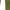 Army Green, variant on Slim Long Sleeves Tees For Women Cozy Pure Color Front Pleated Tops Juniors Fashion V Neck Crop Blouses Teen Girls Casual Tunic Pullover Clothes