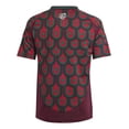 thumbnail image 2 of Playera adidas Niños Seleccion Nacional Mexico Jersey Local cafe XS, 2 of 8