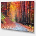 thumbnail image 3 of Designart Road in Beautiful Autumn Forest Canvas Wall Art, 3 of 4