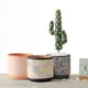 thumbnail image 5 of Bearachild Maceta de cerámica para oficina, escritorio, jardín al aire libre, maceta redonda con agujeros de drenaje, maceta decorativa, Cactus Jardín y Patio Color puro/S, 5 of 6