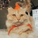 thumbnail image 2 of 2 unids collares festivos para mascotas decorativos de cachorro collares gato decoraciones para el año nuevo (rojo), 2 of 8