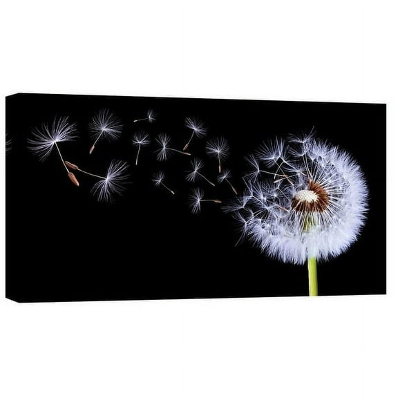 Epic Graffiti "Flying Dandelion" Giclee Canvas Wall Art, 12"x24" 30"x 60"