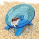 thumbnail image 5 of Platillo volador para hámster, rueda de ejercicio silenciosa para correr, para jerbo, rata, ratón, erizo, animales pequeños, 5 of 7