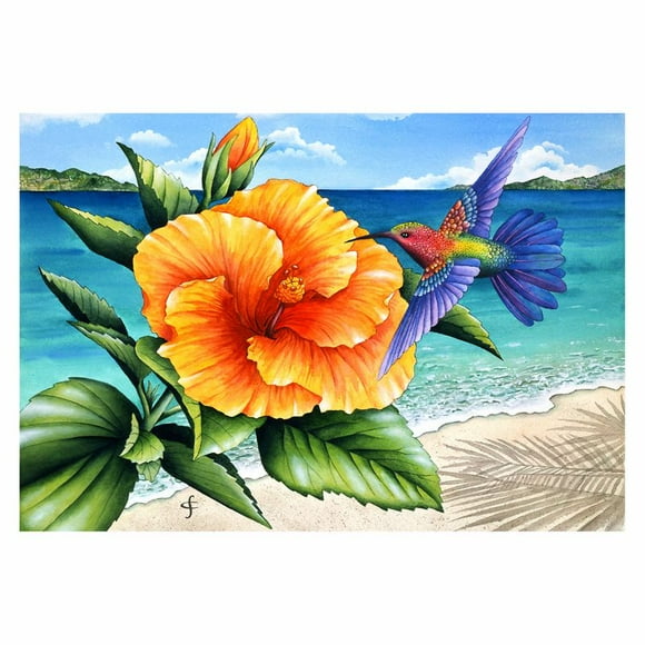 Rc Gold Edition 300 Pzs WuundenToy Belleza en La Playa