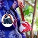 thumbnail image 1 of Monedero de lazo japonés Salvador portátil para niñas Paquete de bathrobe Boda Cosplay Joyería, 1 of 8