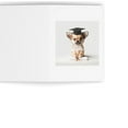 thumbnail image 3 of DistinctInk Greeting Card / Note Card - Chihuahua Puppy Graduation - PACK of 25, 3 of 7