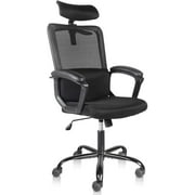 FairyStar Office Chair, High Back Ergonomic Mesh Desk Office Chair with Padding Armrest and Adjustable Headrest Black