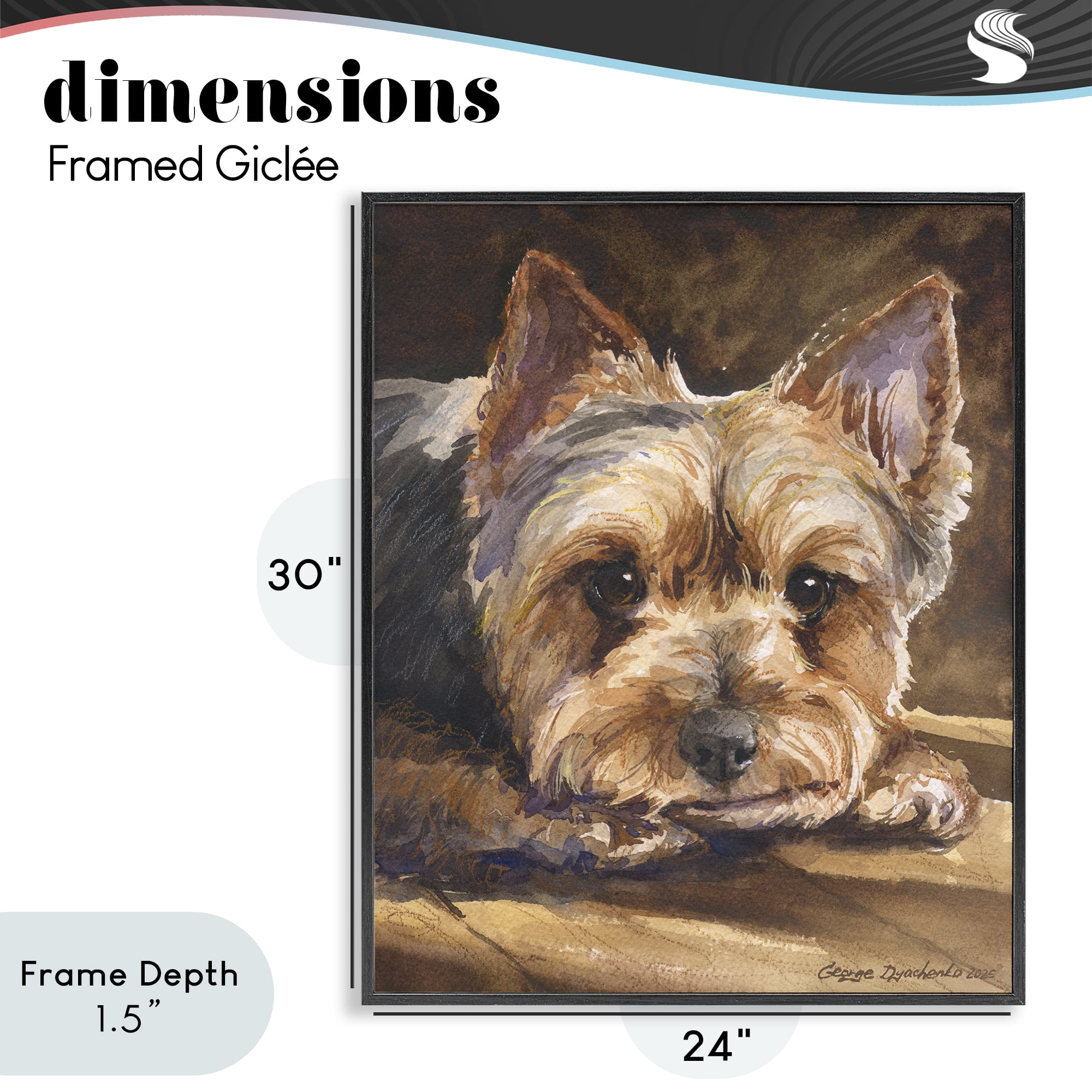 Stupell Industries Yorkshire Terrier Portrait Black Framed Giclee Art, design by George Dyachenko