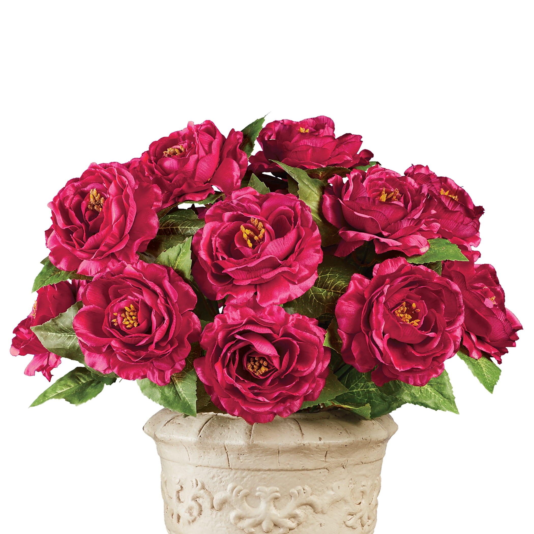 Collections Etc S3 Antique Rose Bushes CREAM