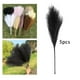 thumbnail image 4 of Ramas secas de césped artificial de 50 cm, tallos de junco artificial, flor de junco para jarrón negro, 4 of 7