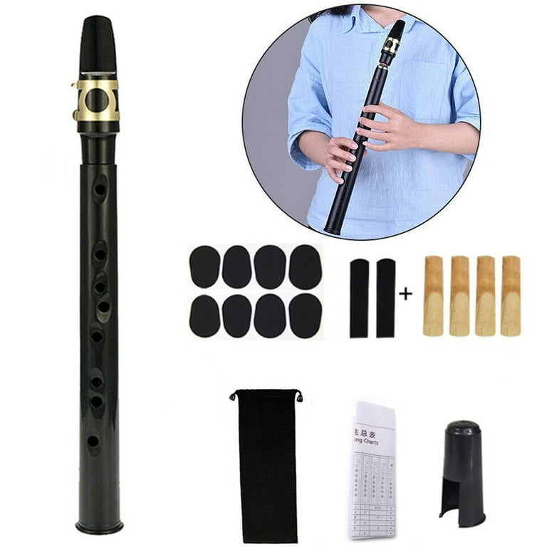 Saxophone Miniature Aerophone Mini Mini Pocket Saxophone Sax Set: Portable  Saxophone with Alto Mouthpieces Carrying Bag Woodwind Instrument for