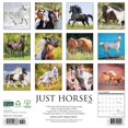 thumbnail image 2 of Willow Creek Press, Just Horses 2025 Wall Calendar, 2 of 4
