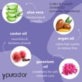 thumbnail image 2 of Set de champú y acondicionador PURA D'OR Curly & Classy, 2 of 5