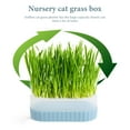 Hongchegh cat plant pot Cat Grass Planting Box Soilless Culture Cat