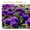 thumbnail image 3 of Auoasl 16 para mujer, diseño de rosas preservadas, regalo, color morado, 3 of 6