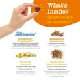 thumbnail image 3 of Zesty Paws Calming Turkey Daily Soft Chews Dog Supplement, 3 of 9