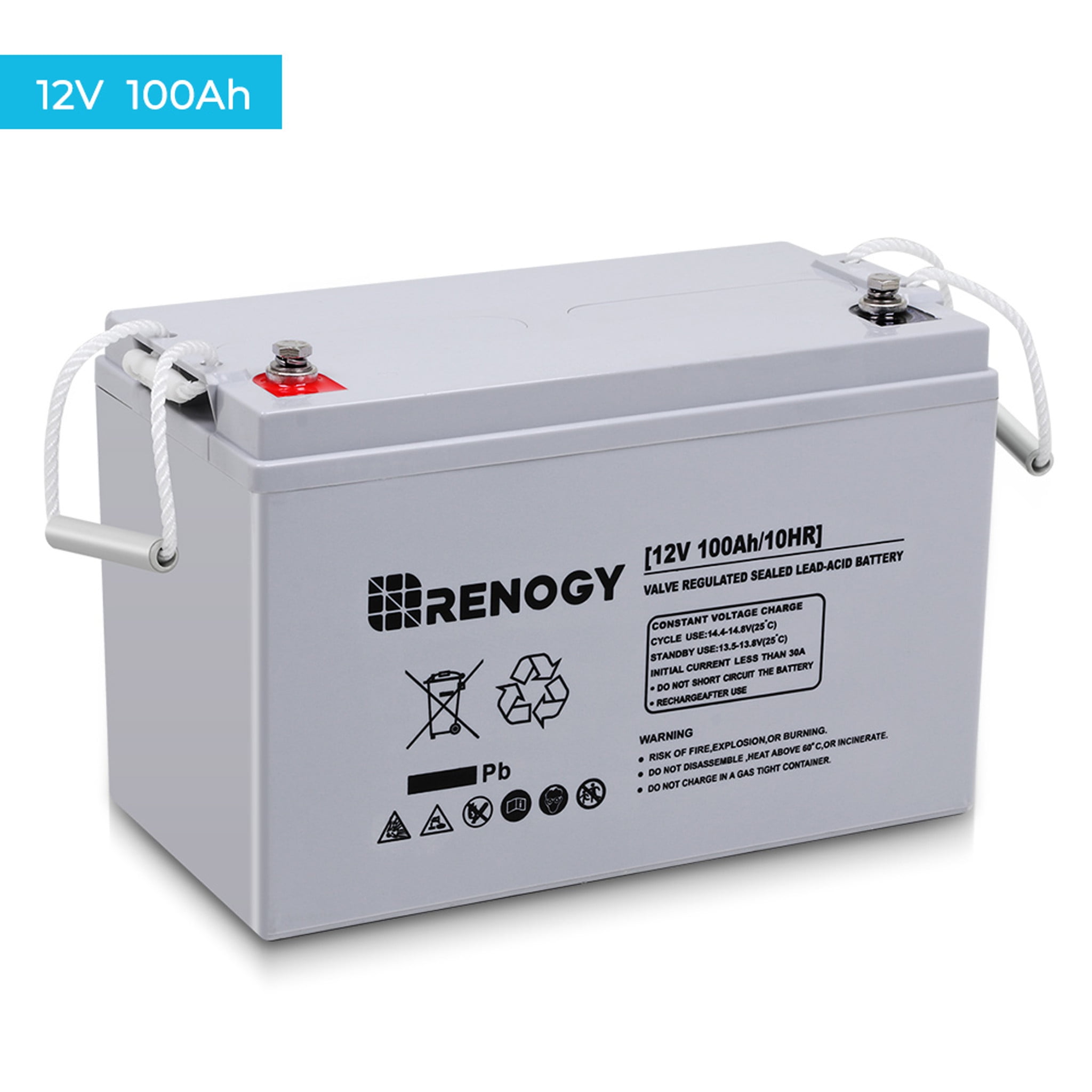 Renogy Deep Cycle AGM 12 Volt Automotive Battery, Group Size N/A, 850 CCA