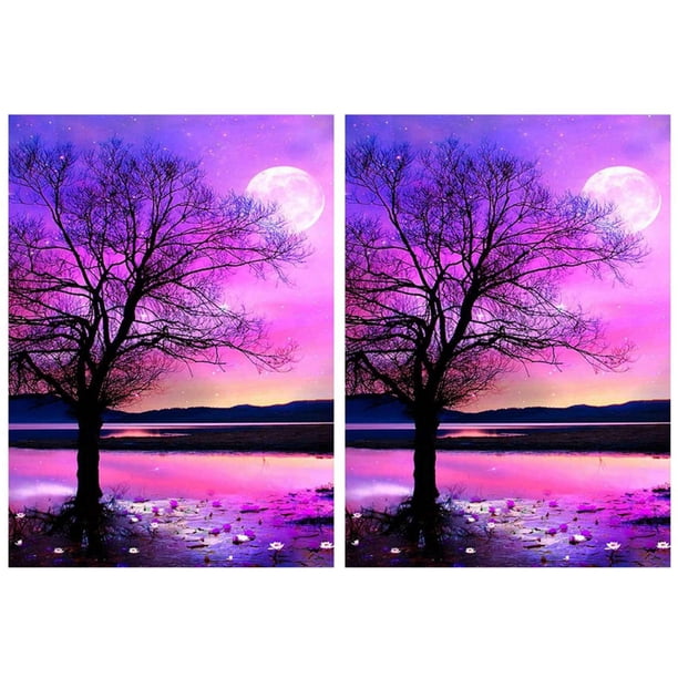 2X Pintura de Diamante DIY 5D Por Kits de Números, Pintura de Bordado de Diamantes de Imitación de Cristal