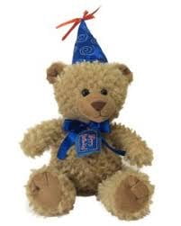 teddy bear party hats