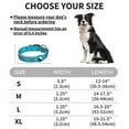 thumbnail image 7 of Reflective AirTag Dog Collar,Padded for Apple Air Tag  Adjustable Dog Collar with AirTag Holder Case for Heavy Duty Small Medium Large Dogs, 7 of 7