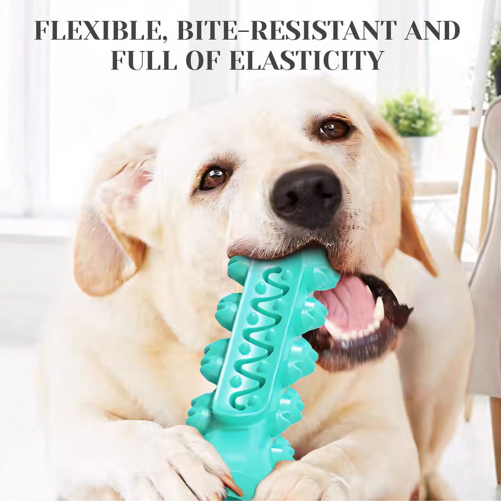 TINGDUANJIAN 2 Pcs Interactive Tough Pet Toys Toothbrush Stick Green Blue for Dog