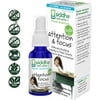 (4 Pack) Siddha Remedies Attention Focus for Kids Focus Homeopathic Oral Spray for Children Treats Difficulty Studying Concentration Restlessness 100% Natural Non GMO Free of Gluten Alcohol SugarDairy