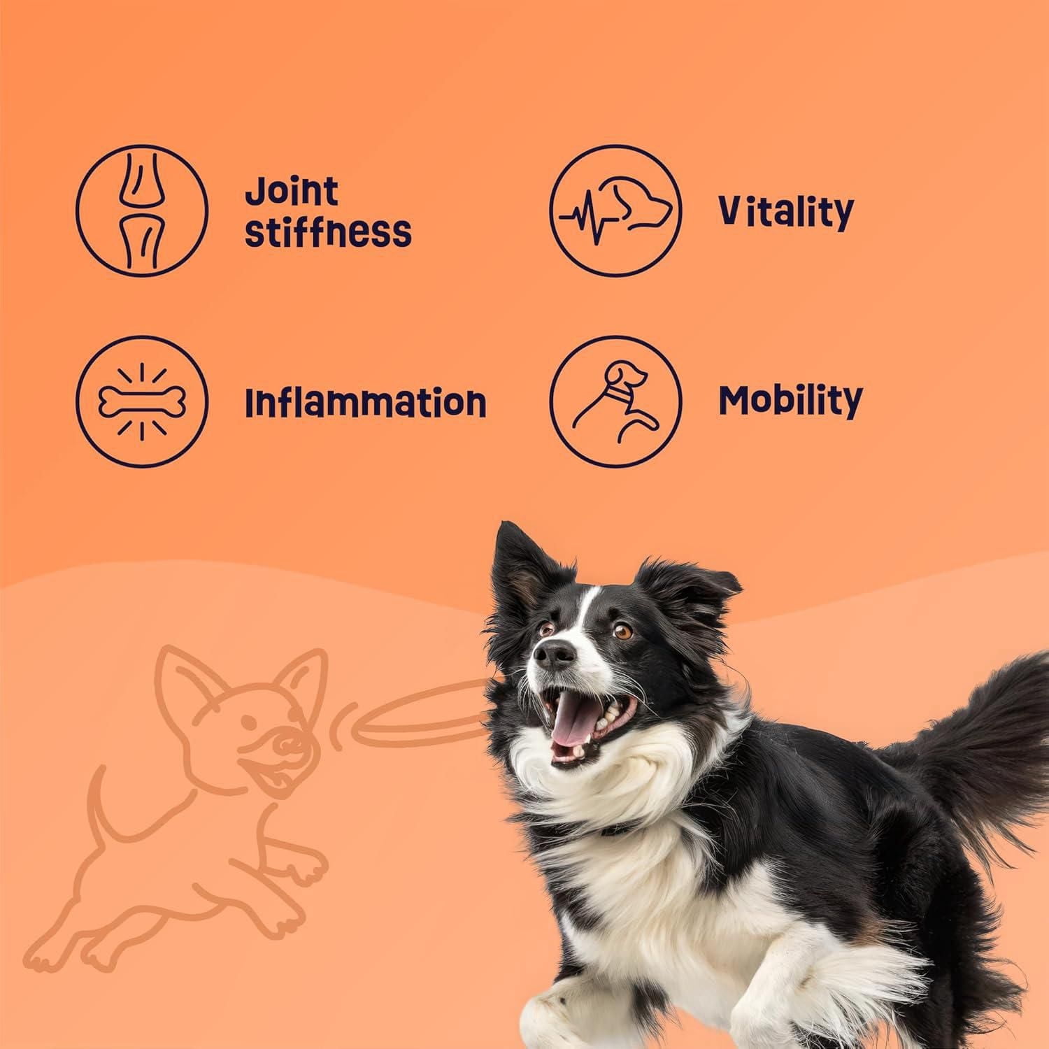 Gruffies Joint & Hip Dog Treats