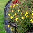 thumbnail image 3 of KOL 90 ft. (3X 30 ft.) Landscape Edging - No Dig Edging Kit (90PCS Spikes Included) -1.5'' Tall Plastic Lawn Edging Garden Decora, 3 of 8